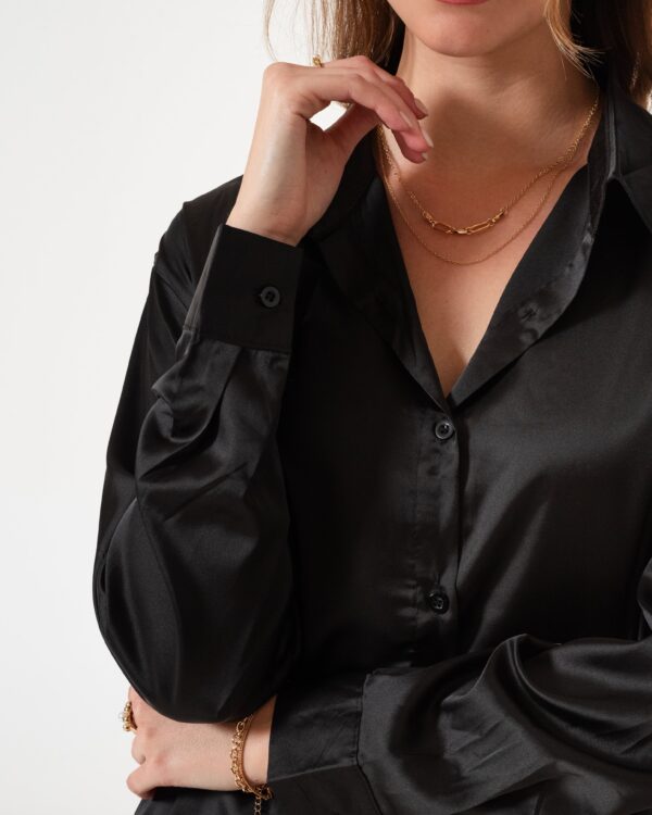 Alternative view of CAMISA SEDA - Q002